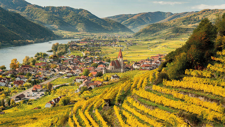 Quaint village nestled amongst the vineyards and lush green mountains in the striking Wachau Valley along the Danube River