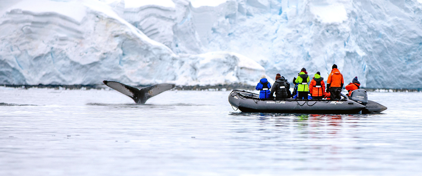 scenic cruises submarine