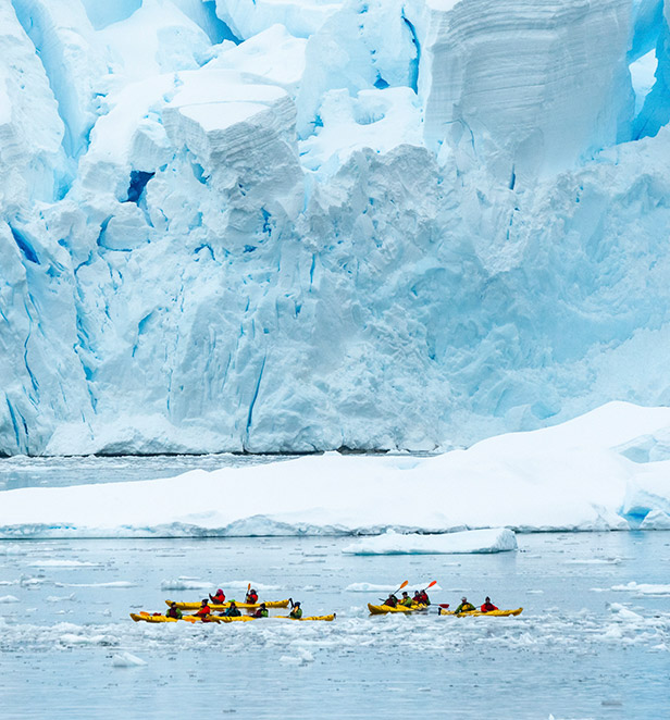 Antarctica Cruises and Tours 2024 & 2025 Scenic