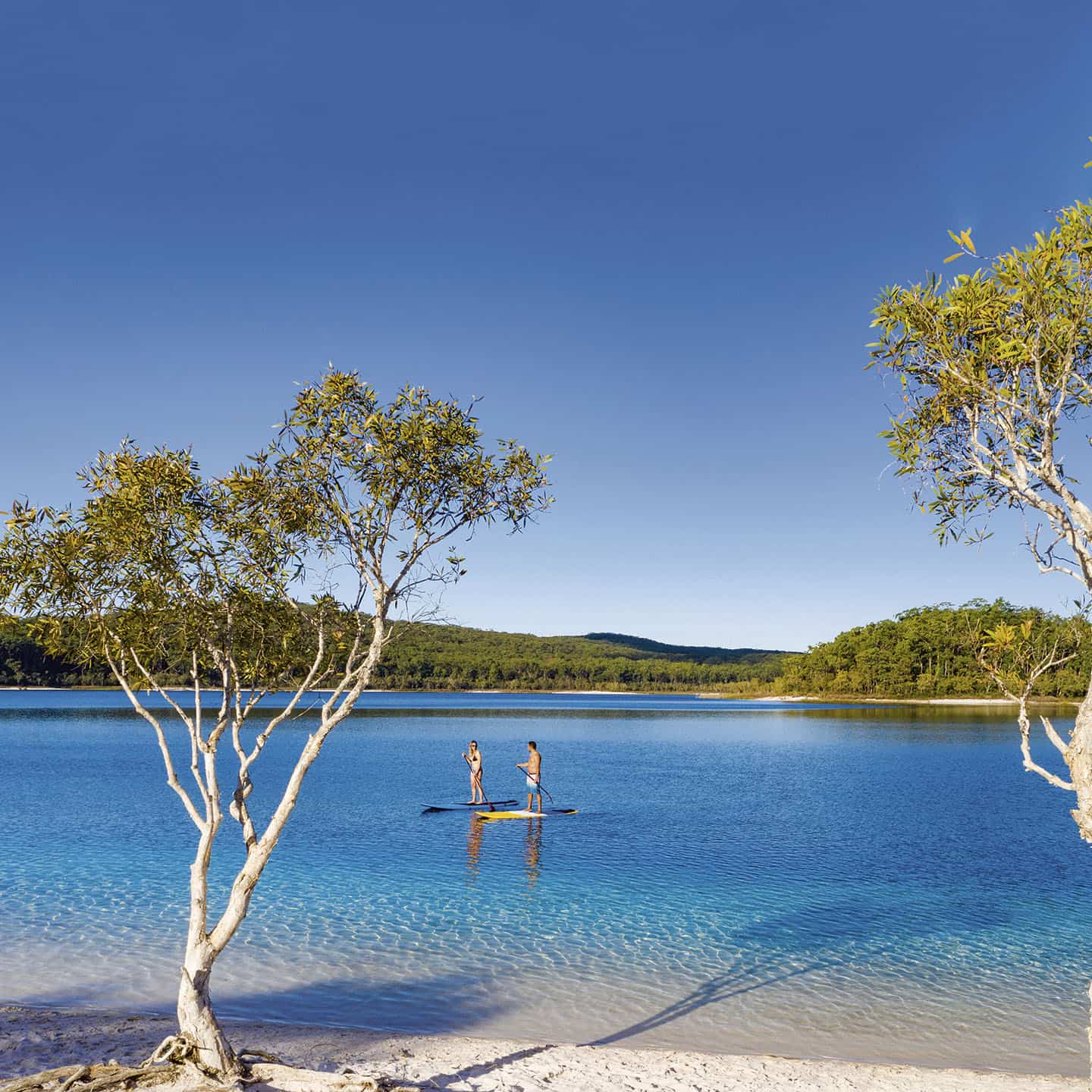 Scenic Eclipse II, Stand-up Paddleboarding, Fraser Island