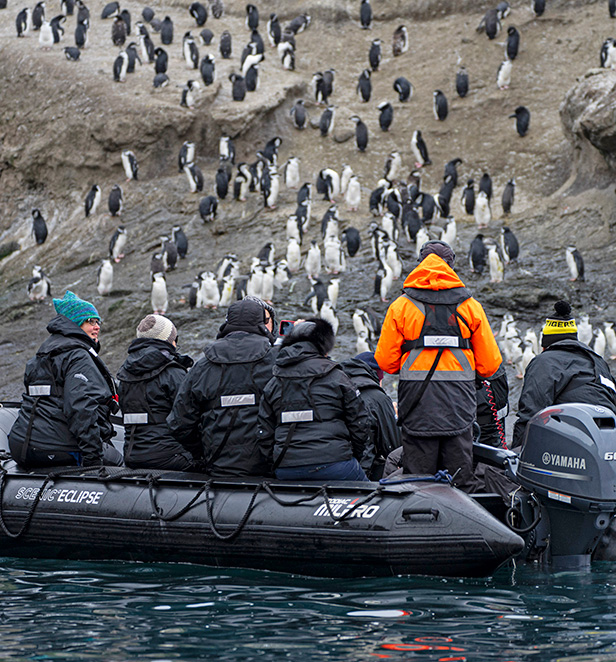 Zodiac Excursion