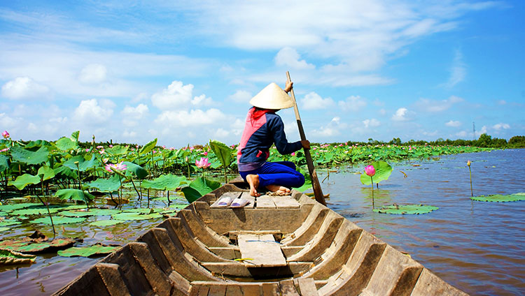 Lotus flowers and local boat on the Mekong River.