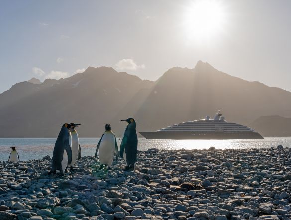 Penguins huddling on a pebble beach in Antarctica with a cruise ship in the background beneath the sun