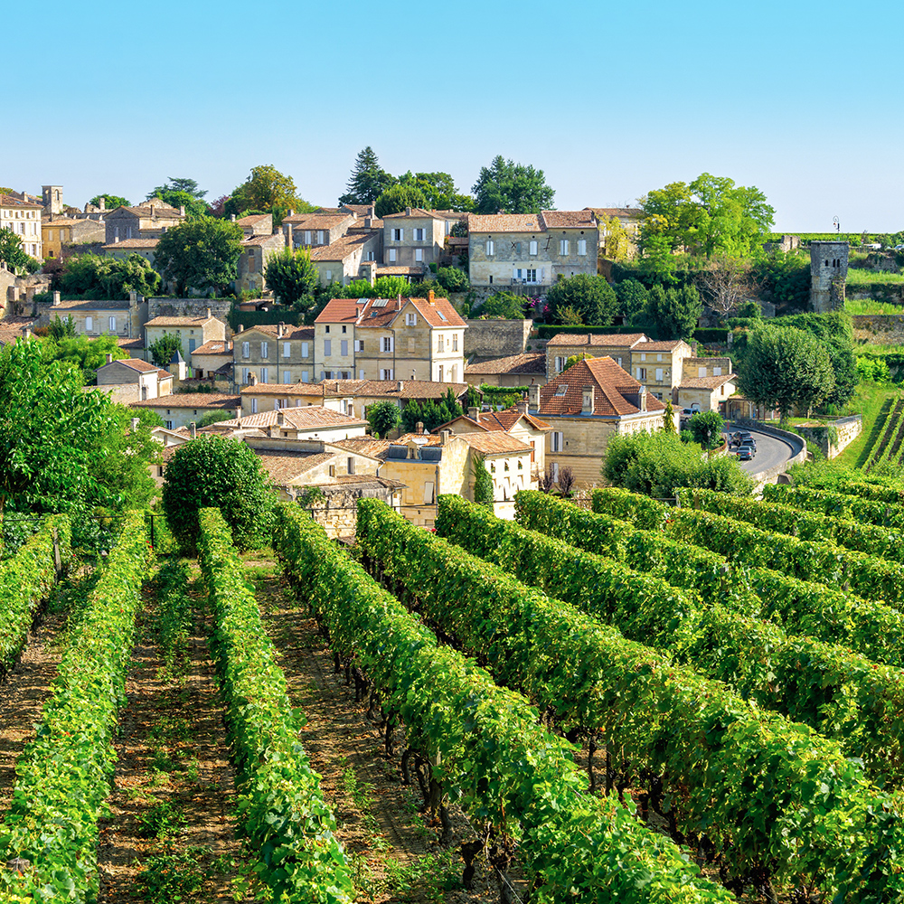 Vineyards in the town of Saint-Émilion, France